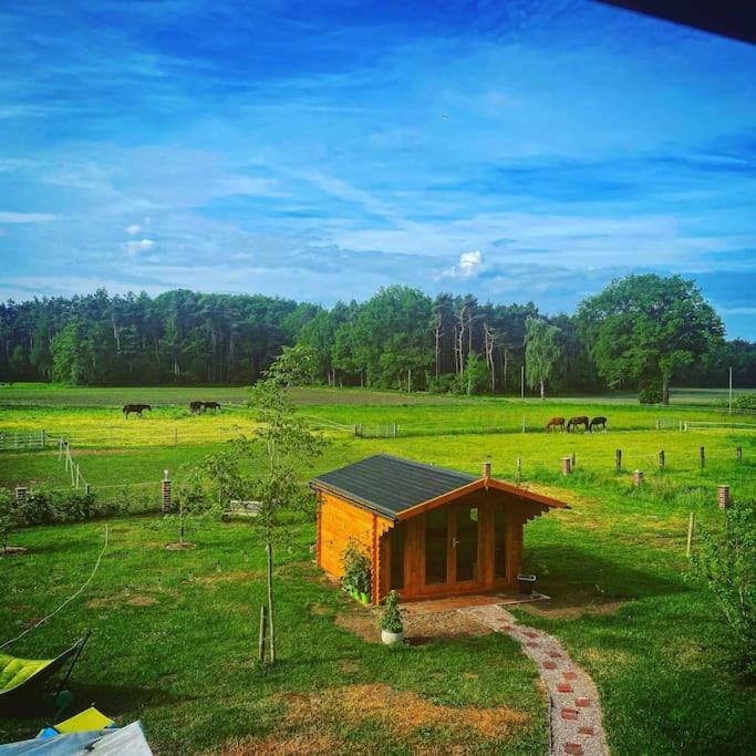 Wunderschoene Ferienwohnung Auf Dem Bauernhof Greven Bagian luar foto