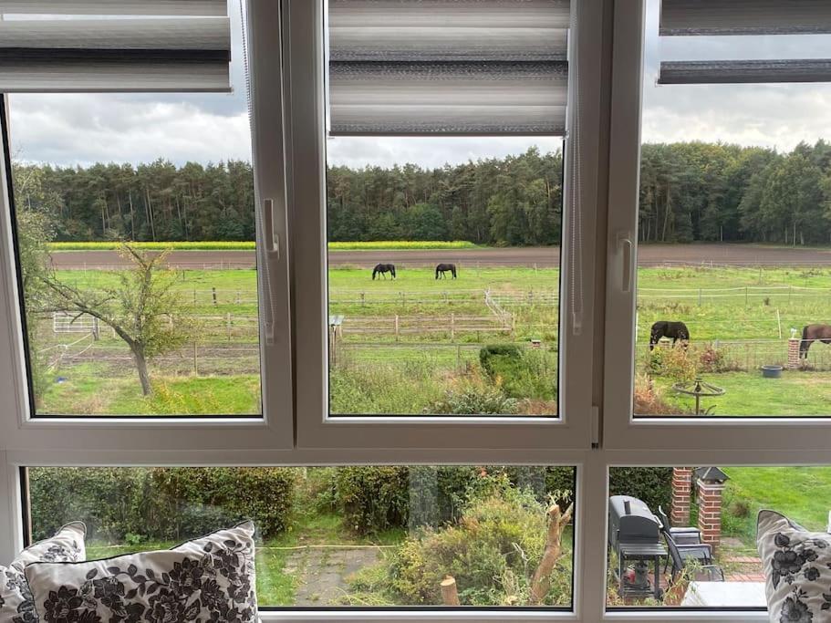 Wunderschoene Ferienwohnung Auf Dem Bauernhof Greven Bagian luar foto