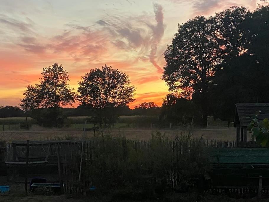 Wunderschoene Ferienwohnung Auf Dem Bauernhof Greven Bagian luar foto